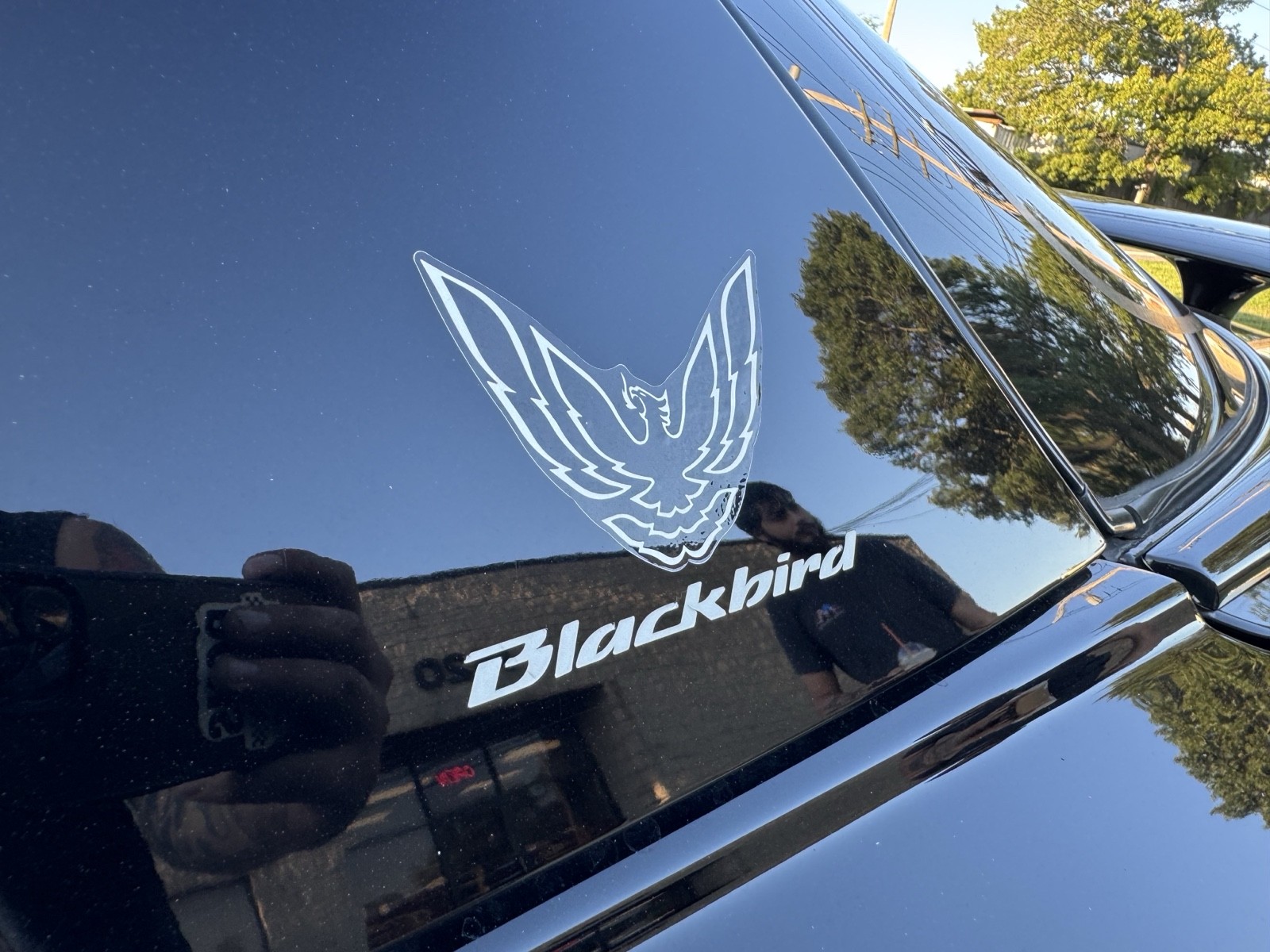 Pontiac-Firebird-1996-Coupe-3