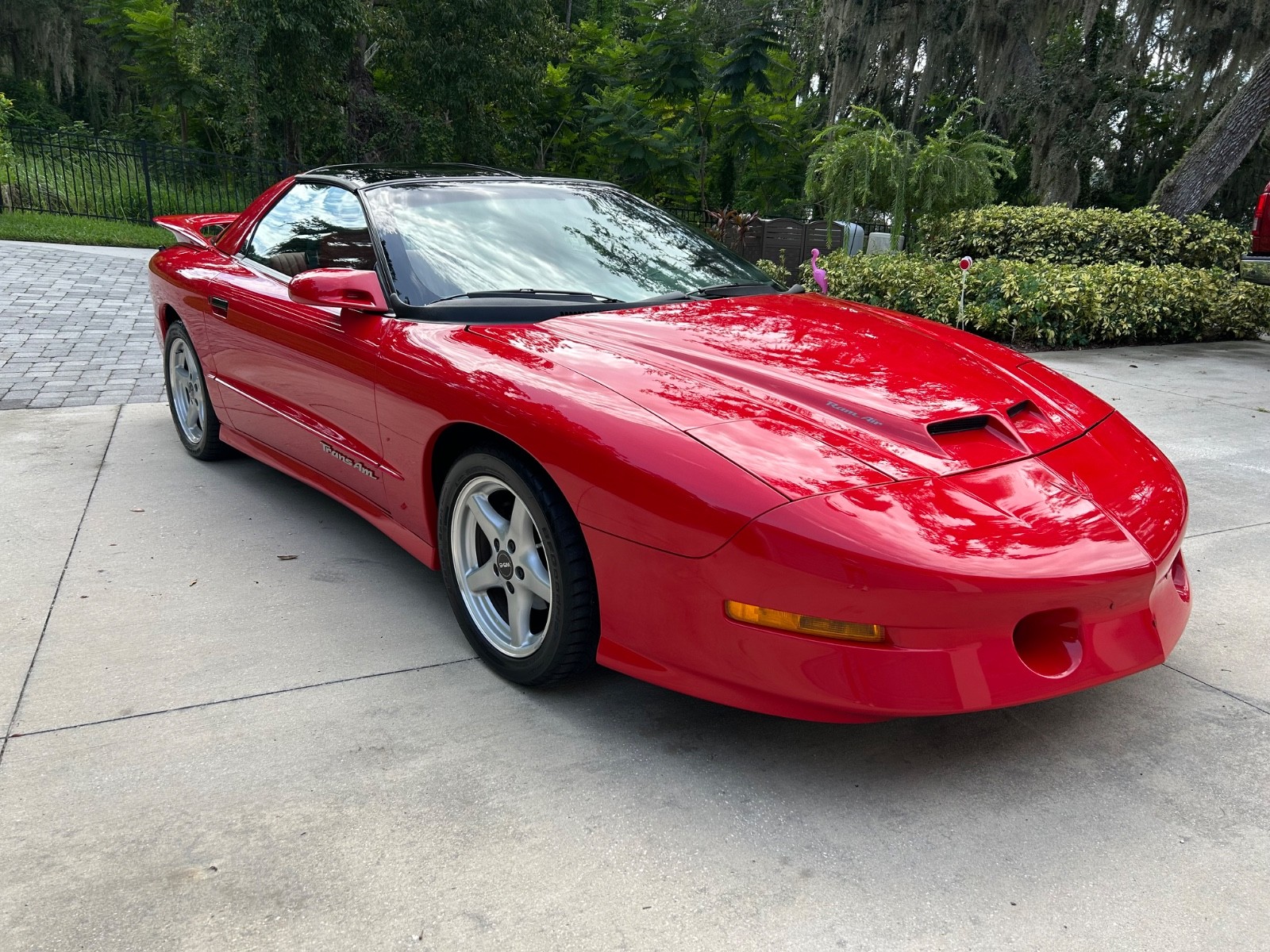 Pontiac-Firebird-1996-Trans-Am-WS6-1