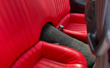 Pontiac-Firebird-1996-Trans-Am-WS6-20
