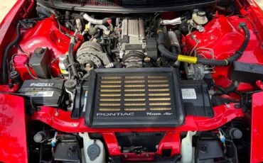 Pontiac-Firebird-1996-Trans-Am-WS6-23