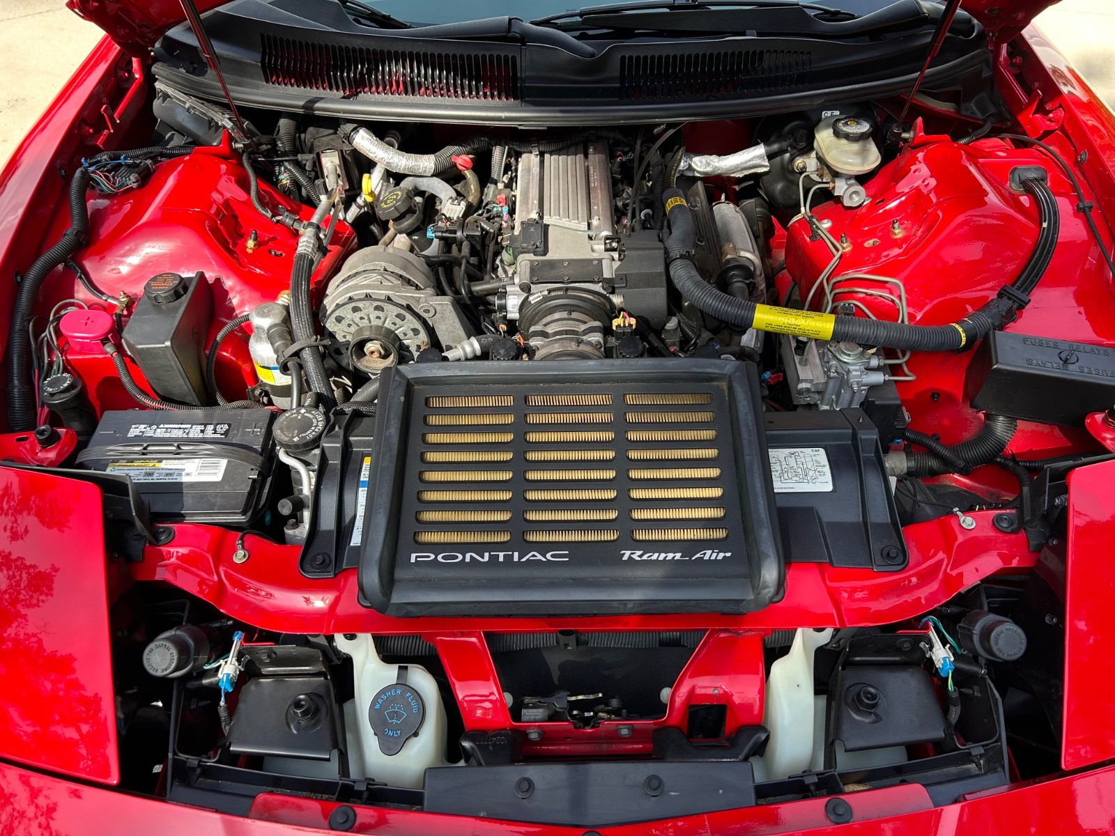 Pontiac-Firebird-1996-Trans-Am-WS6-23