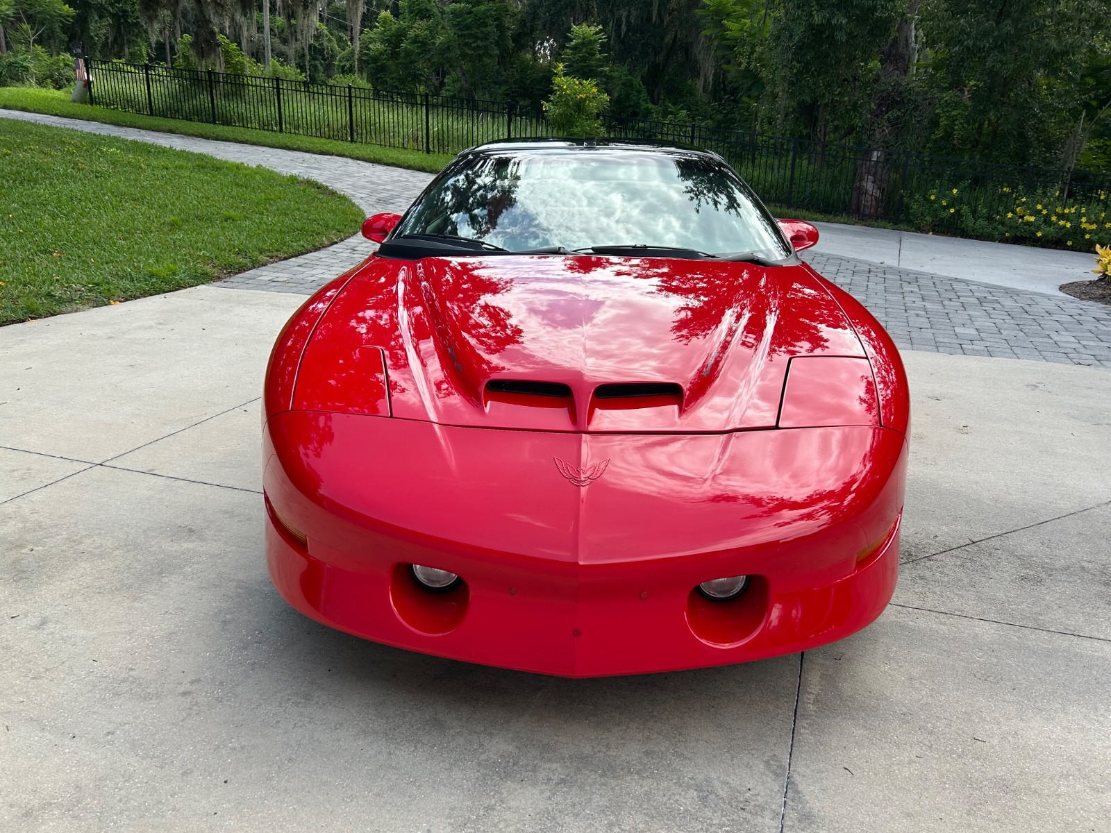 Pontiac-Firebird-1996-Trans-Am-WS6-6