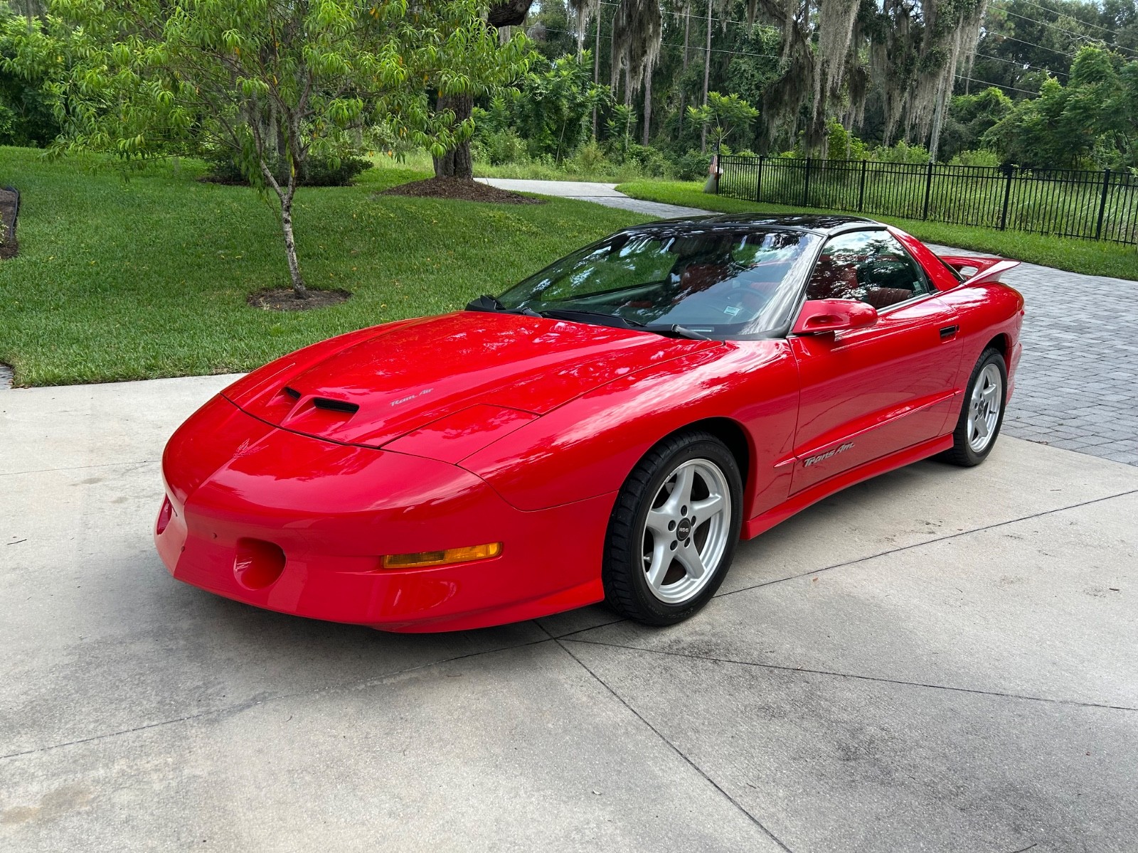 Pontiac Firebird 1996 Trans Am WS6