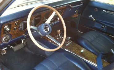 Pontiac-Firebird-convertible-1969-Blue-Blue-20