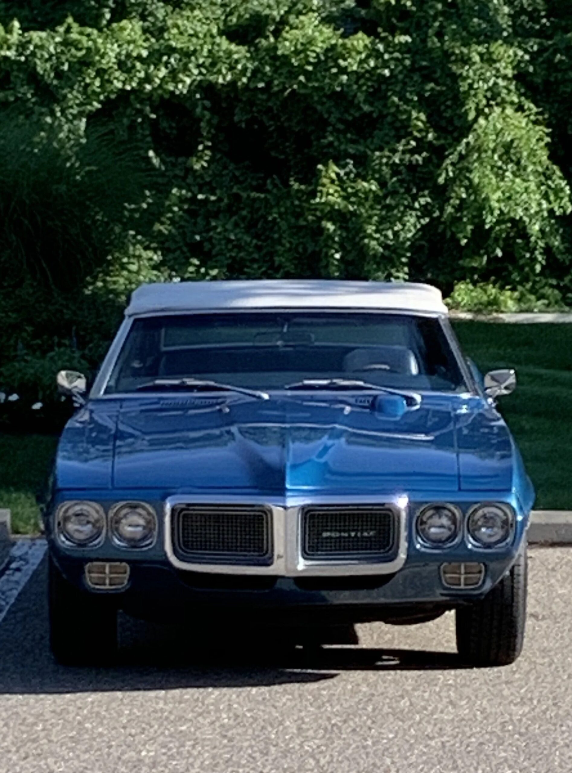 Pontiac-Firebird-convertible-1969-Blue-Blue-27
