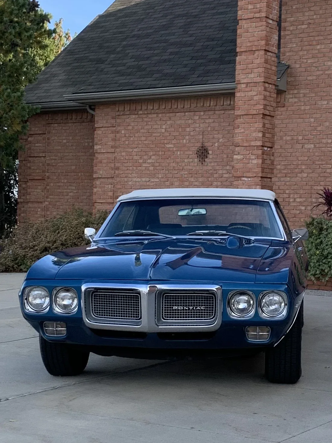 Pontiac-Firebird-convertible-1969-Blue-Blue-30