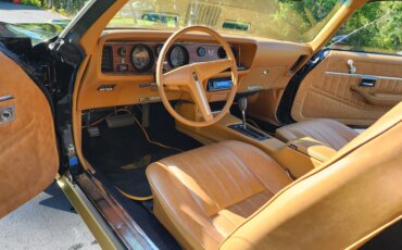 Pontiac-Firebird-formula-1979-Black-Beige-1