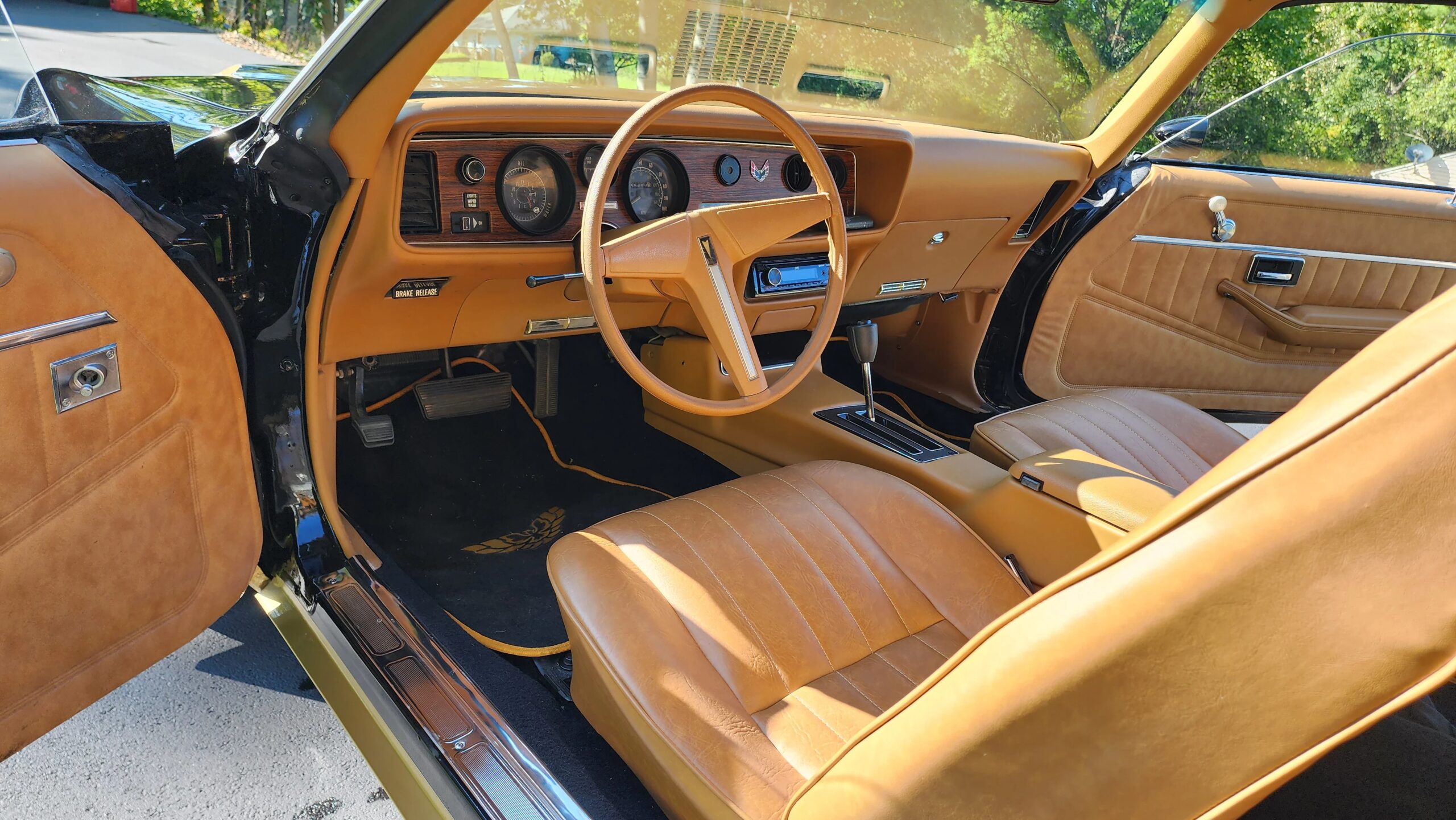 Pontiac-Firebird-formula-1979-Black-Beige-1