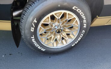 Pontiac-Firebird-formula-1979-Black-Beige-13