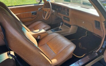 Pontiac-Firebird-formula-1979-Black-Beige-14