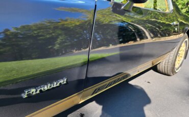 Pontiac-Firebird-formula-1979-Black-Beige-15