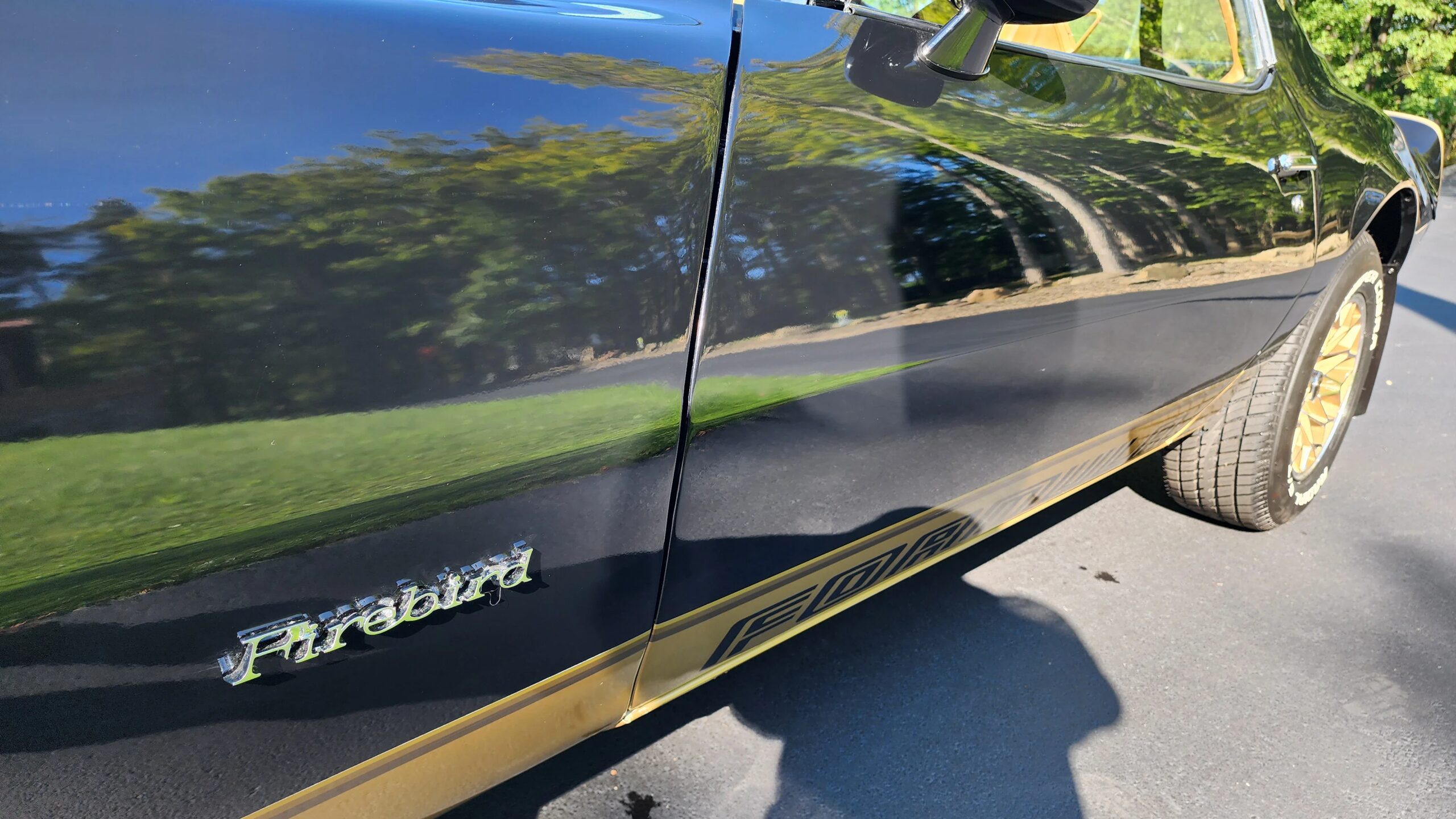 Pontiac-Firebird-formula-1979-Black-Beige-15