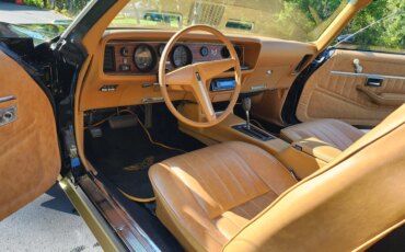 Pontiac-Firebird-formula-1979-Black-Beige-16
