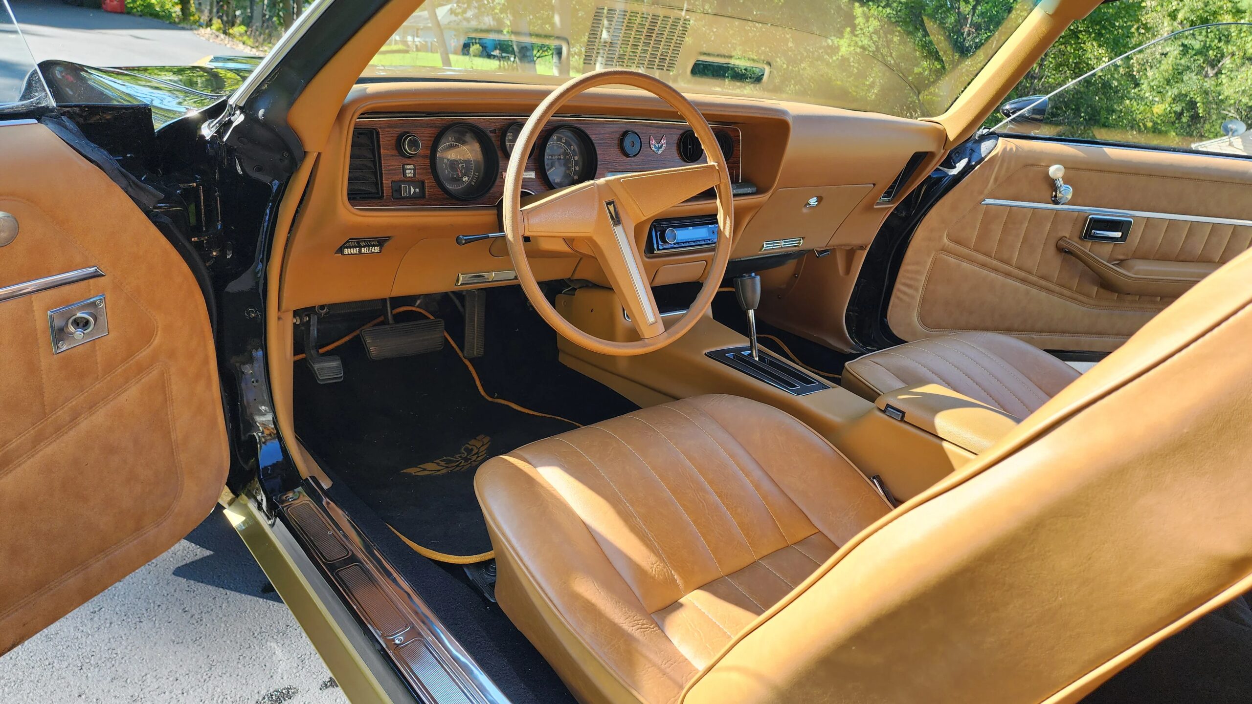 Pontiac-Firebird-formula-1979-Black-Beige-16