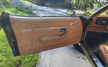Pontiac-Firebird-formula-1979-Black-Beige-17