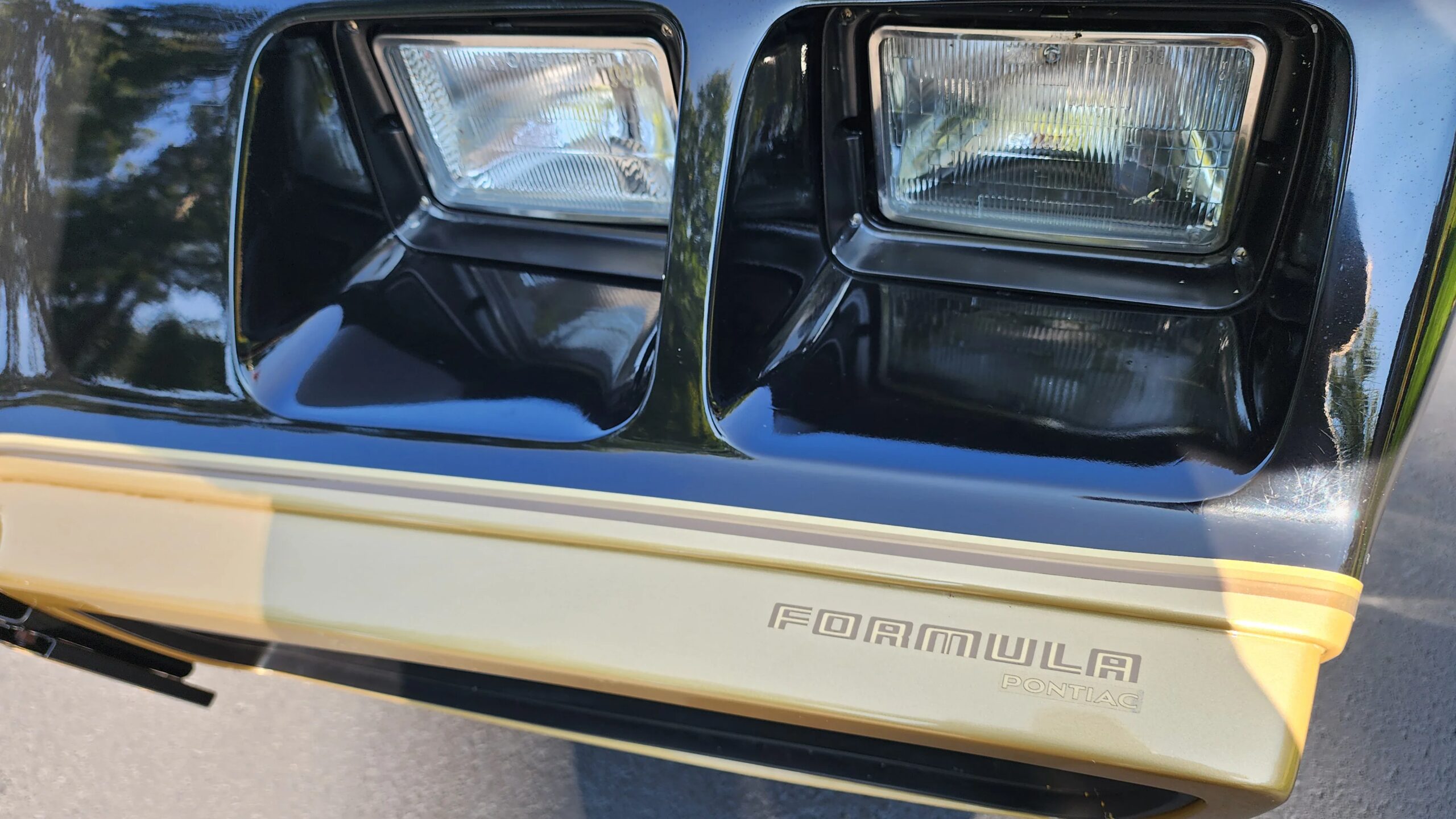 Pontiac-Firebird-formula-1979-Black-Beige-2