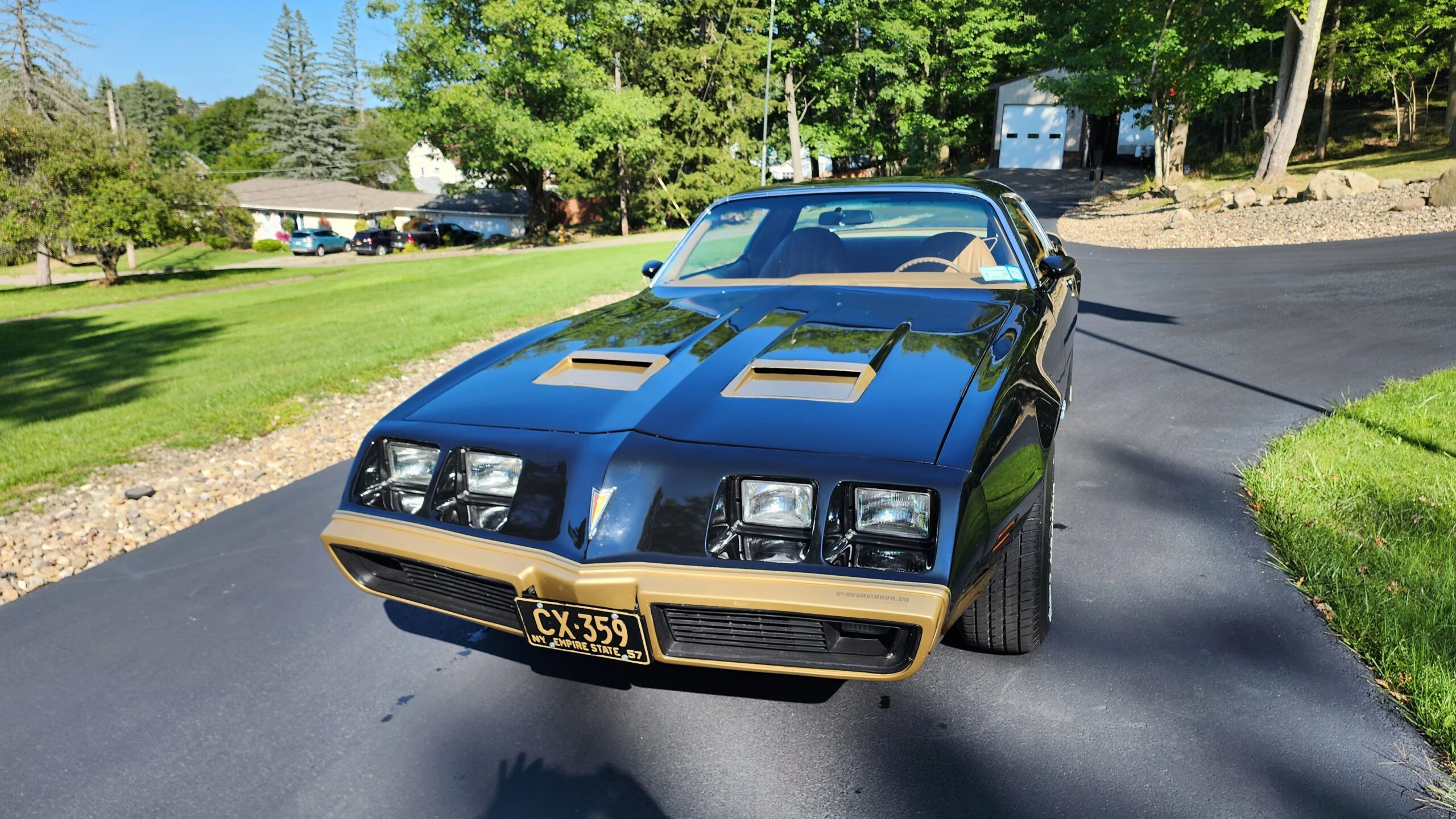 Pontiac-Firebird-formula-1979-Black-Beige-4