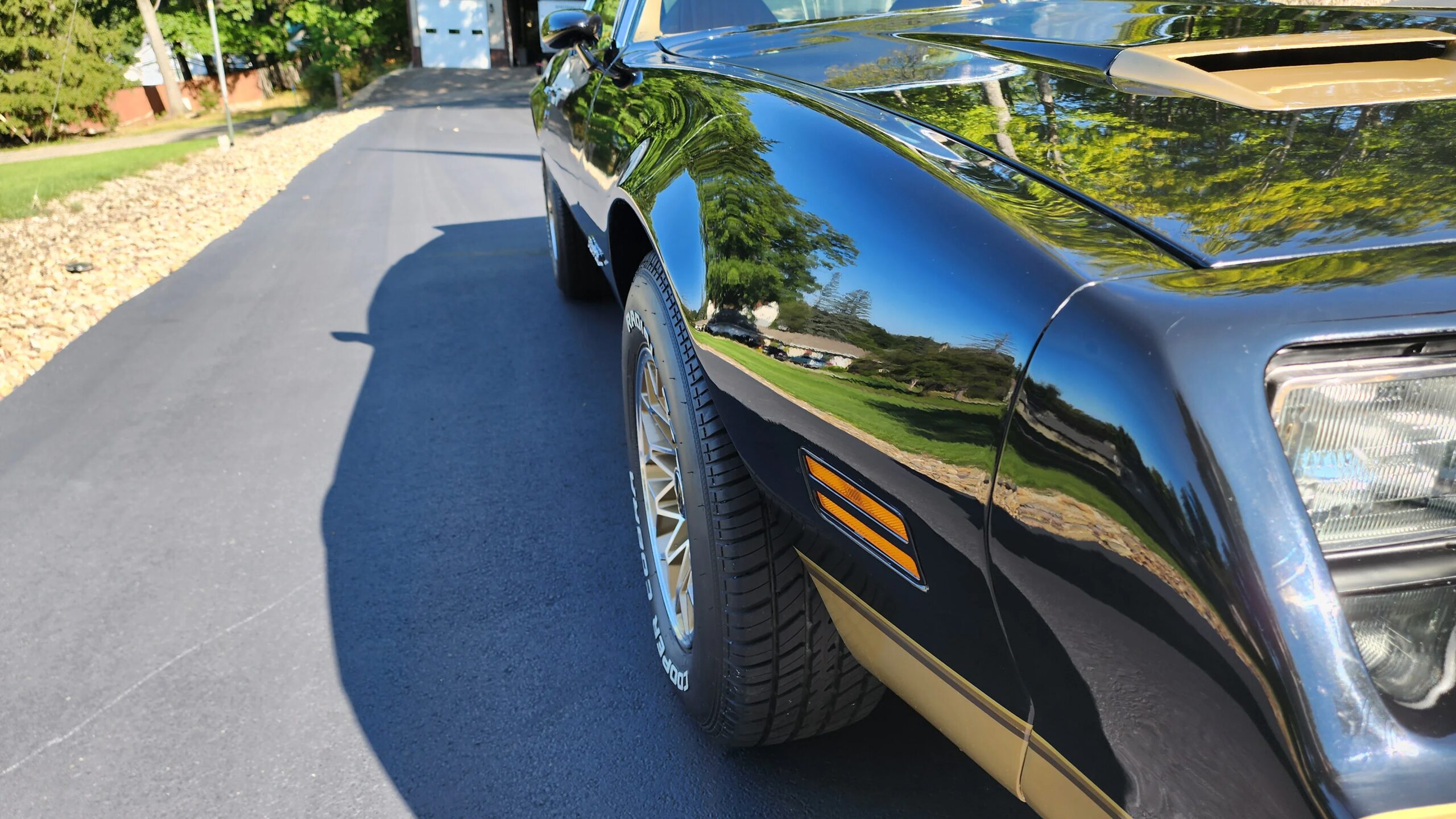 Pontiac-Firebird-formula-1979-Black-Beige-5