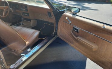 Pontiac-Firebird-formula-1979-Black-Beige-6