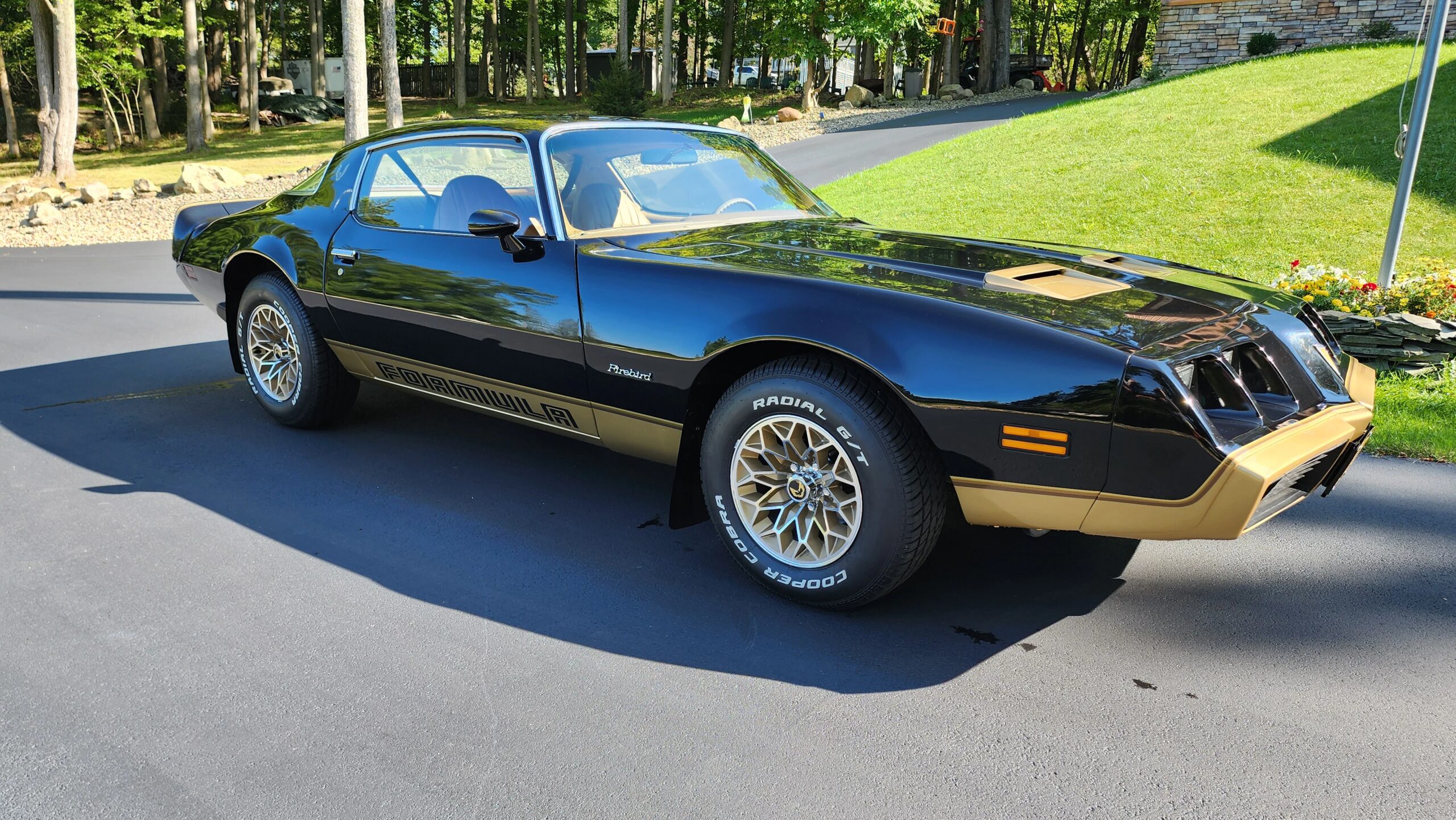Pontiac-Firebird-formula-1979-Black-Beige-7