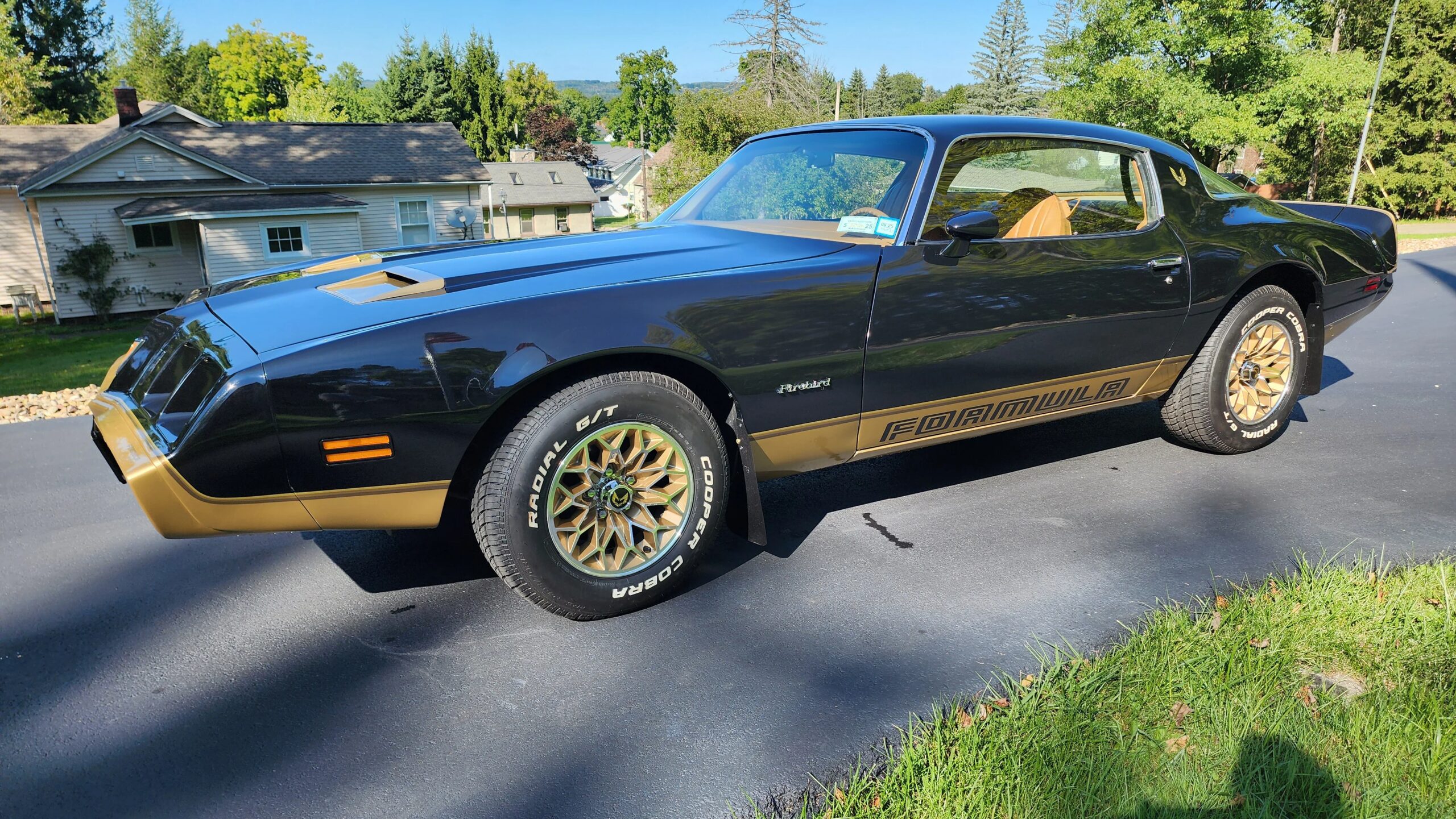 Pontiac-Firebird-formula-1979-Black-Beige-8