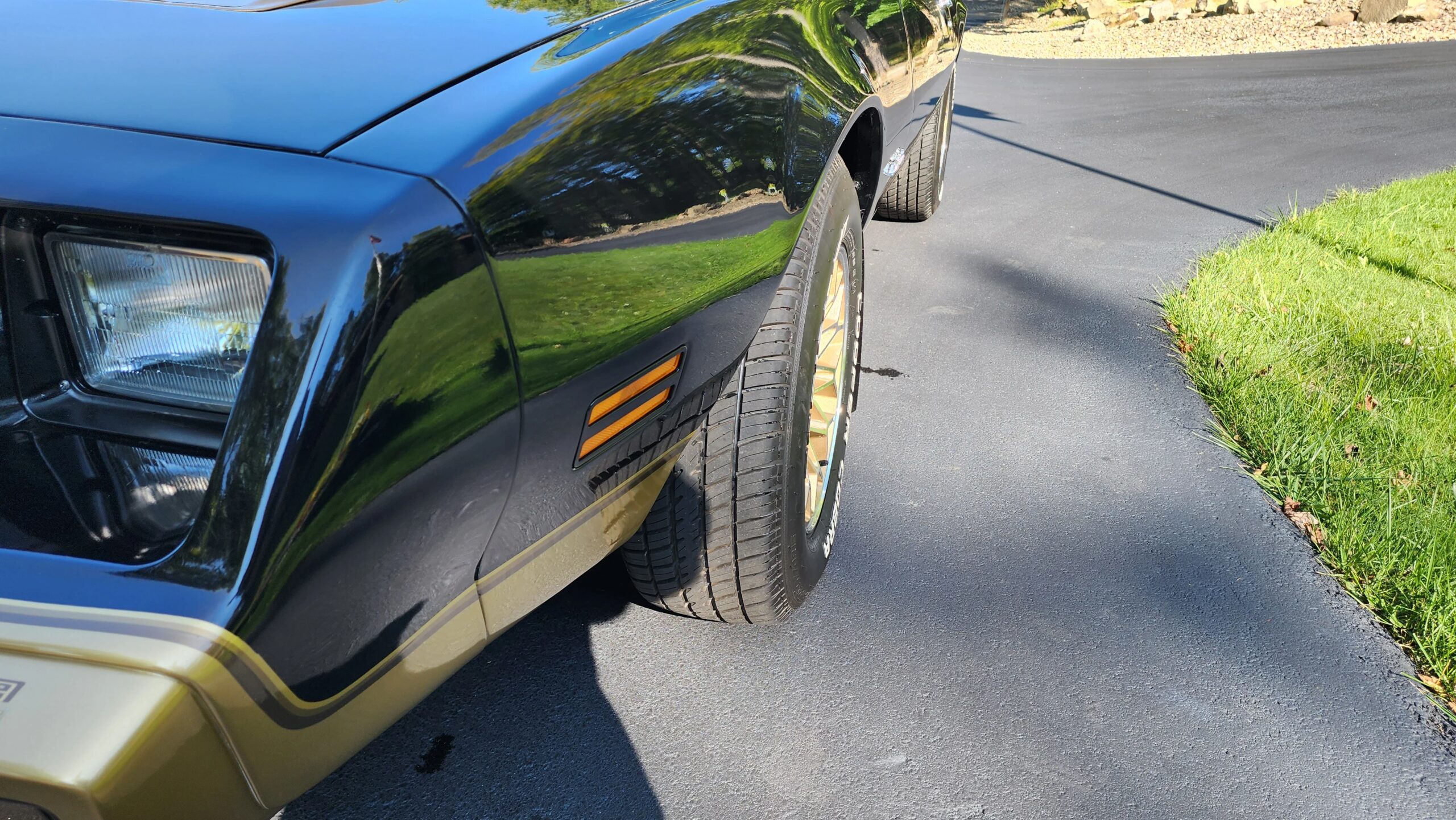 Pontiac-Firebird-formula-1979-Black-Beige