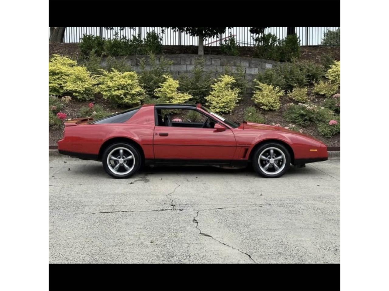Pontiac-Firebird-trans-am-1984-Red-Black-12