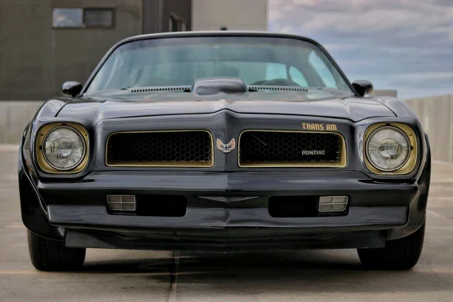 Pontiac-Firebird-trans-am-50th-anniversary-limited-edition-1976-Black-Black-10