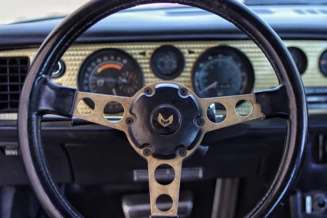 Pontiac-Firebird-trans-am-50th-anniversary-limited-edition-1976-Black-Black-18