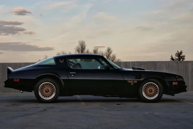 Pontiac-Firebird-trans-am-50th-anniversary-limited-edition-1976-Black-Black-3