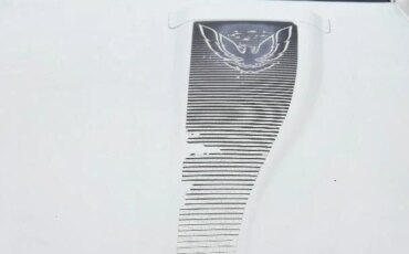 Pontiac-Firebird-trans-am-coupe-1983-White-Off-White-4