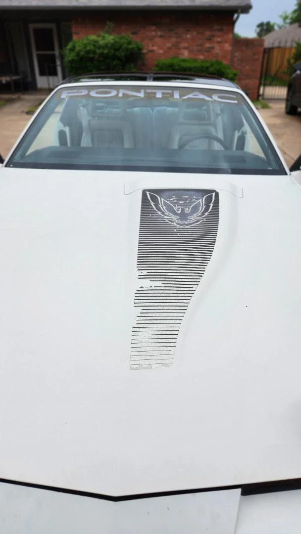 Pontiac-Firebird-trans-am-coupe-1983-White-Off-White-4