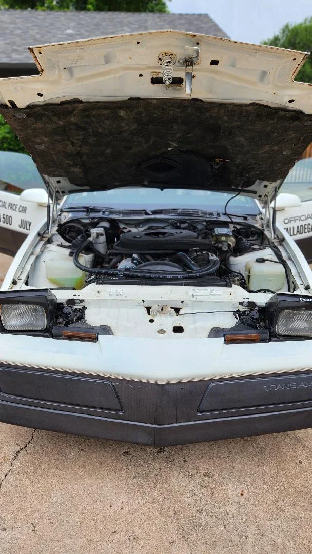 Pontiac-Firebird-trans-am-coupe-1983-White-Off-White-6