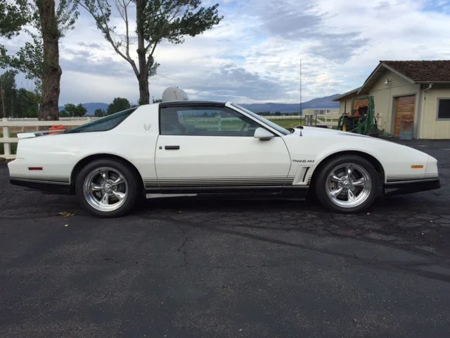 Pontiac-Firebird-trans-am-coupe-1984-White-Blue-4