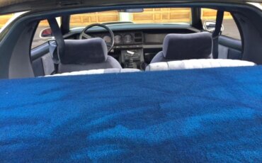 Pontiac-Firebird-trans-am-coupe-1984-White-Blue-5