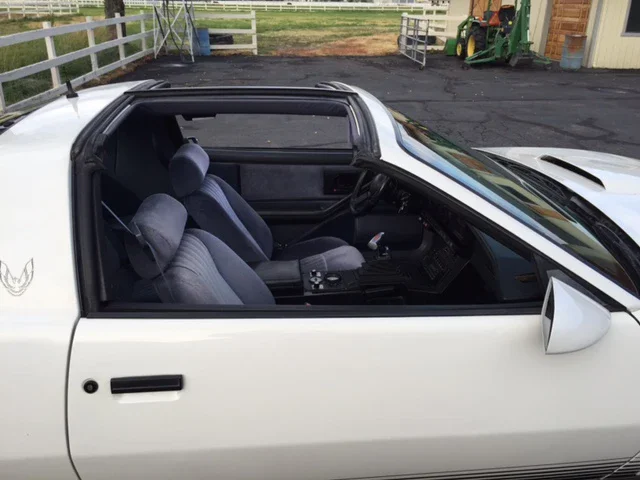 Pontiac-Firebird-trans-am-coupe-1984-White-Blue-6