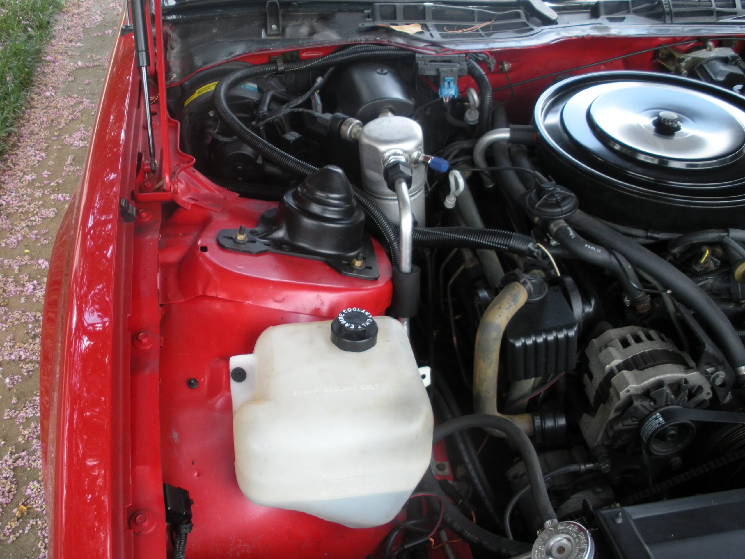 Pontiac-Firebird-trans-am-coupe-1987-Red-Black-18
