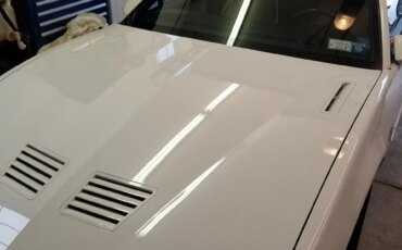 Pontiac-Firebird-trans-am-coupe-1991-White-Tan-10