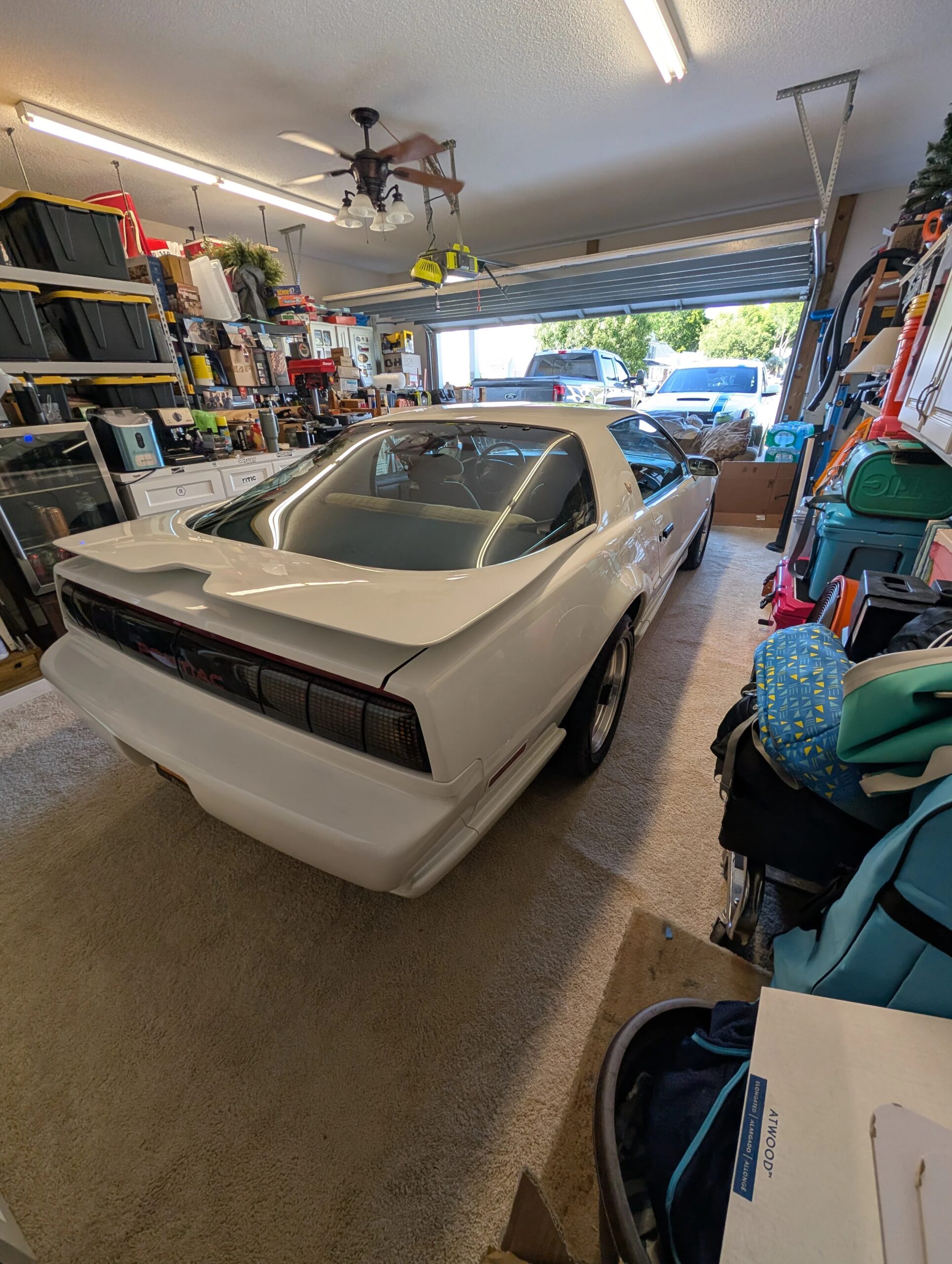 Pontiac-Firebird-trans-am-coupe-1991-White-Tan-11