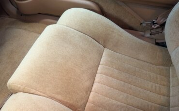 Pontiac-Firebird-trans-am-coupe-1991-White-Tan-13