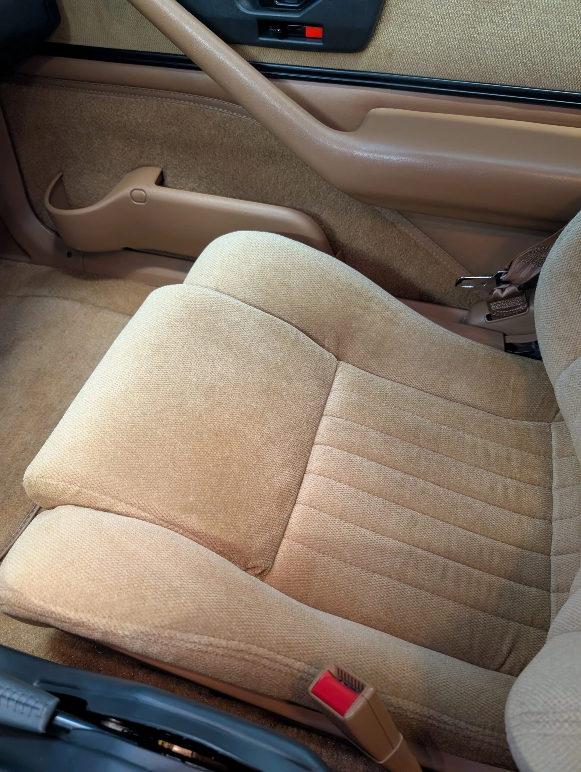 Pontiac-Firebird-trans-am-coupe-1991-White-Tan-13
