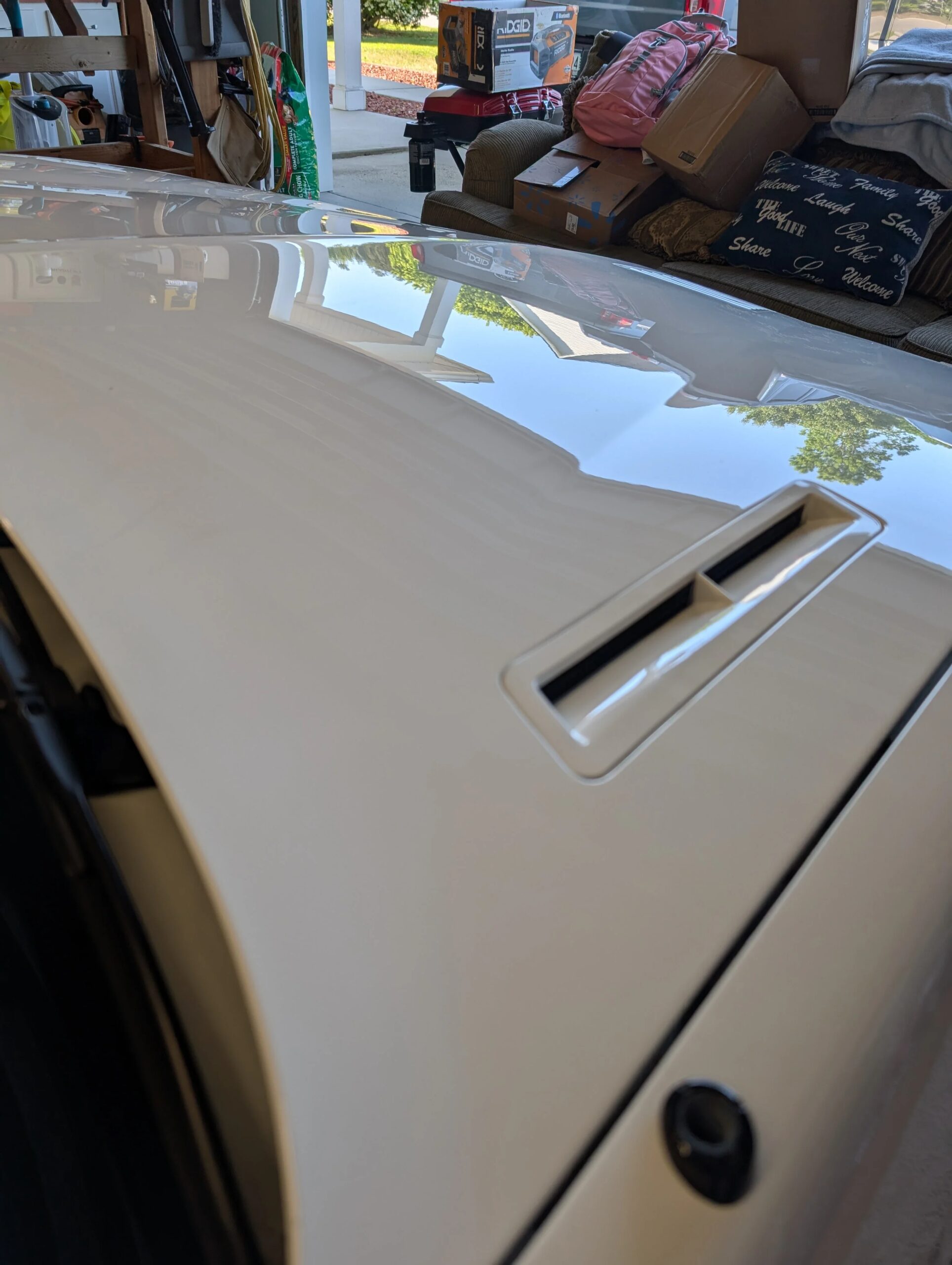 Pontiac-Firebird-trans-am-coupe-1991-White-Tan-7