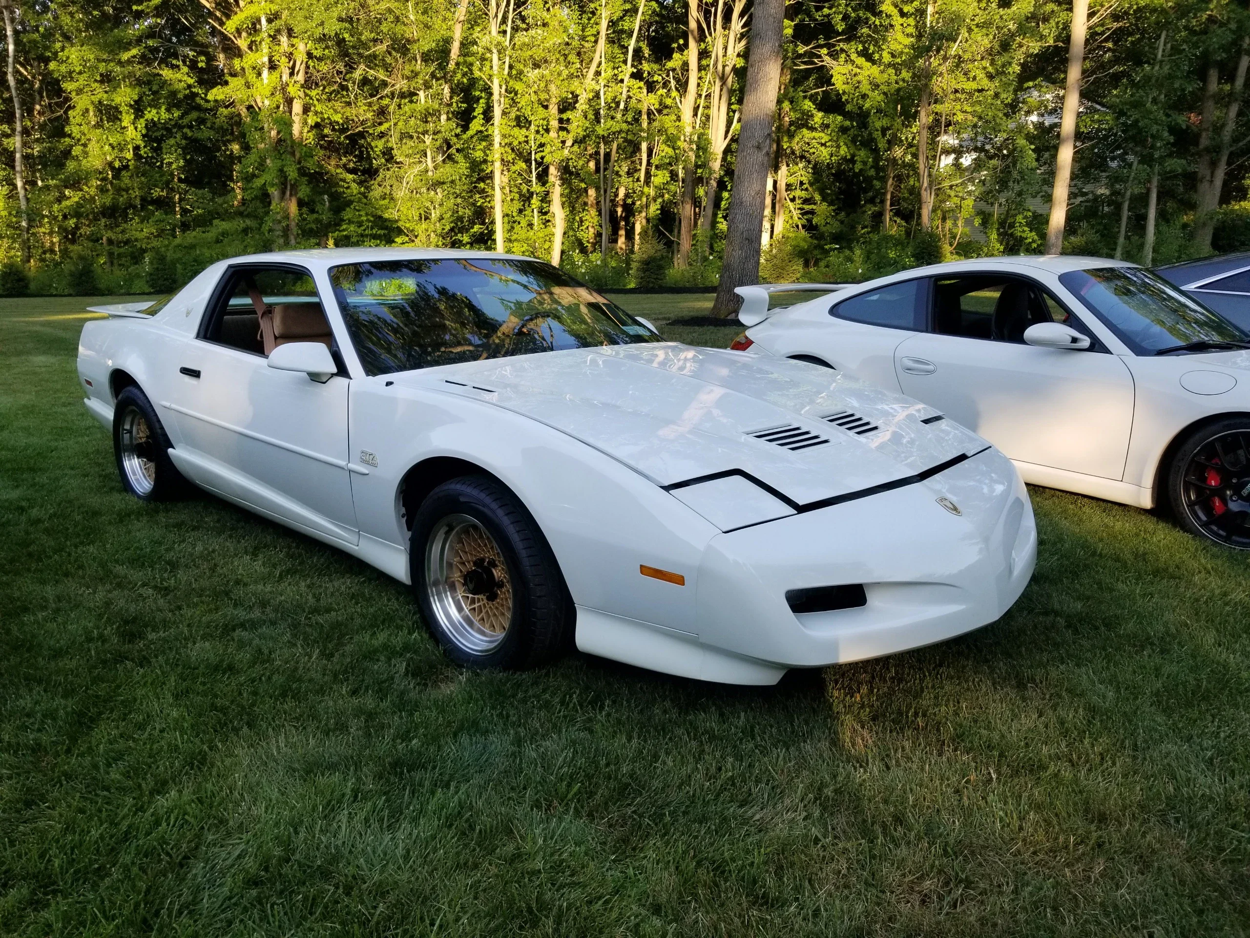 Pontiac-Firebird-trans-am-coupe-1991-White-Tan