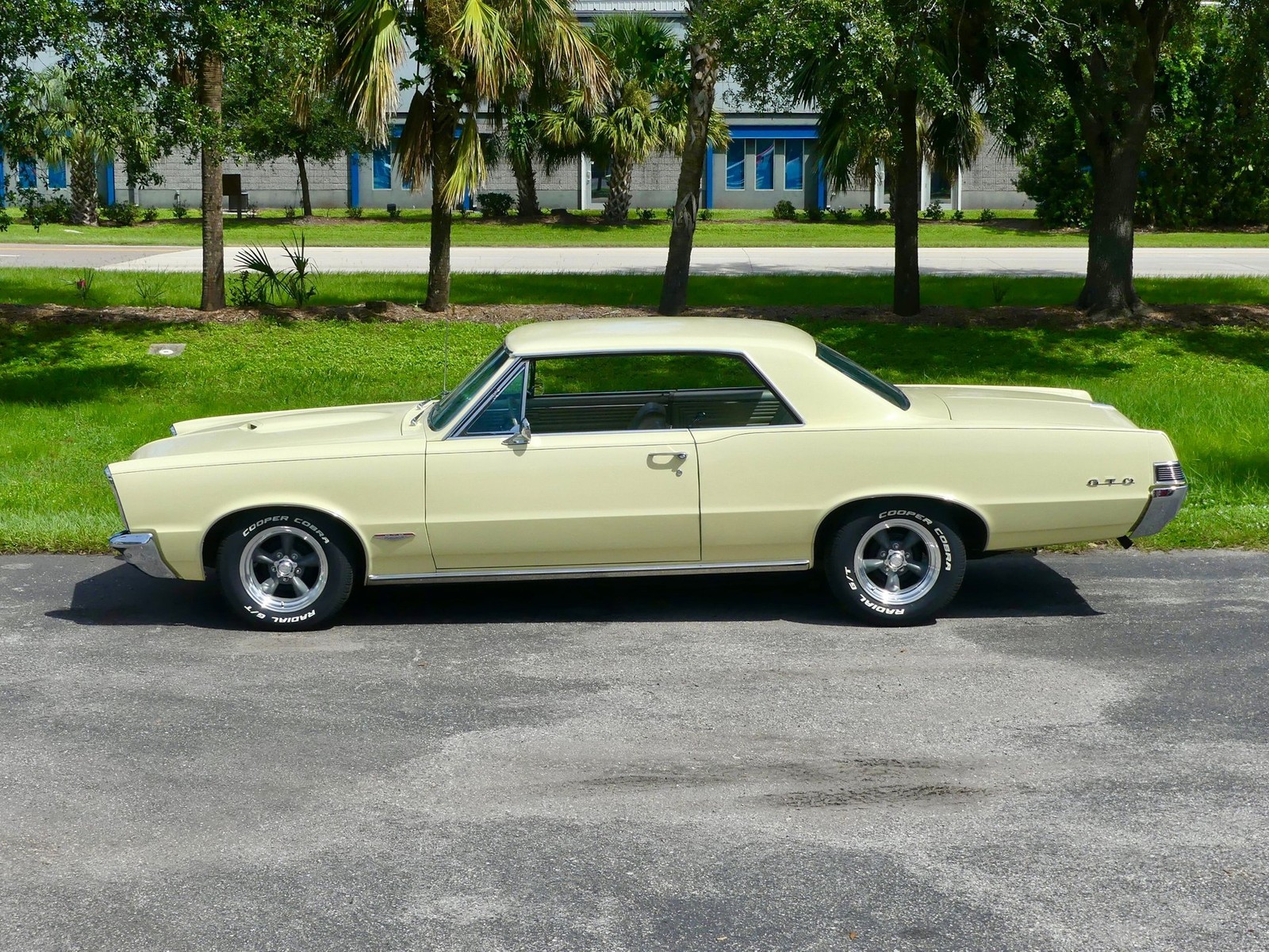 Pontiac-GTO-1965-Other-10
