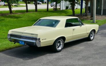 Pontiac-GTO-1965-Other-19