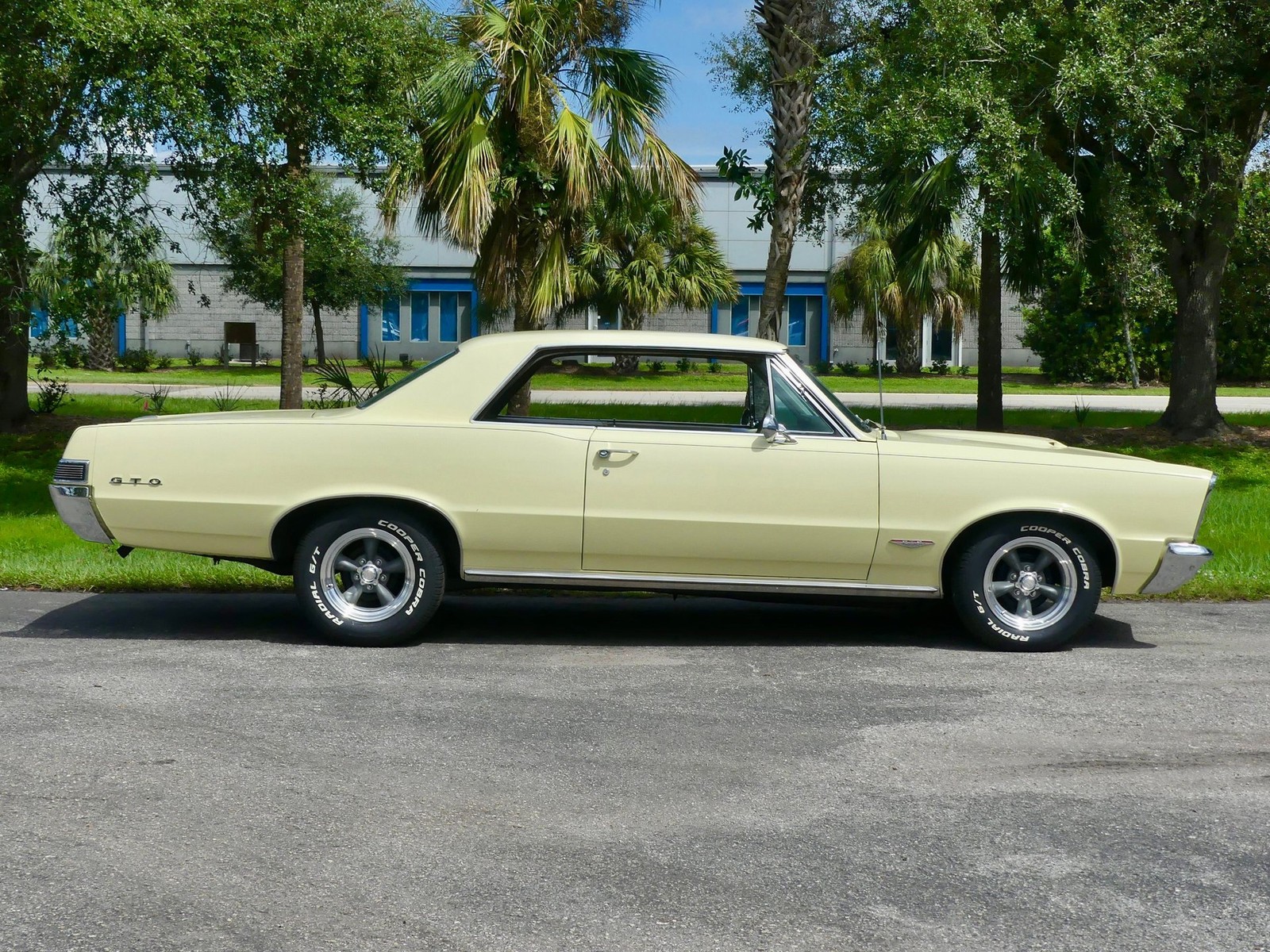 Pontiac-GTO-1965-Other-2