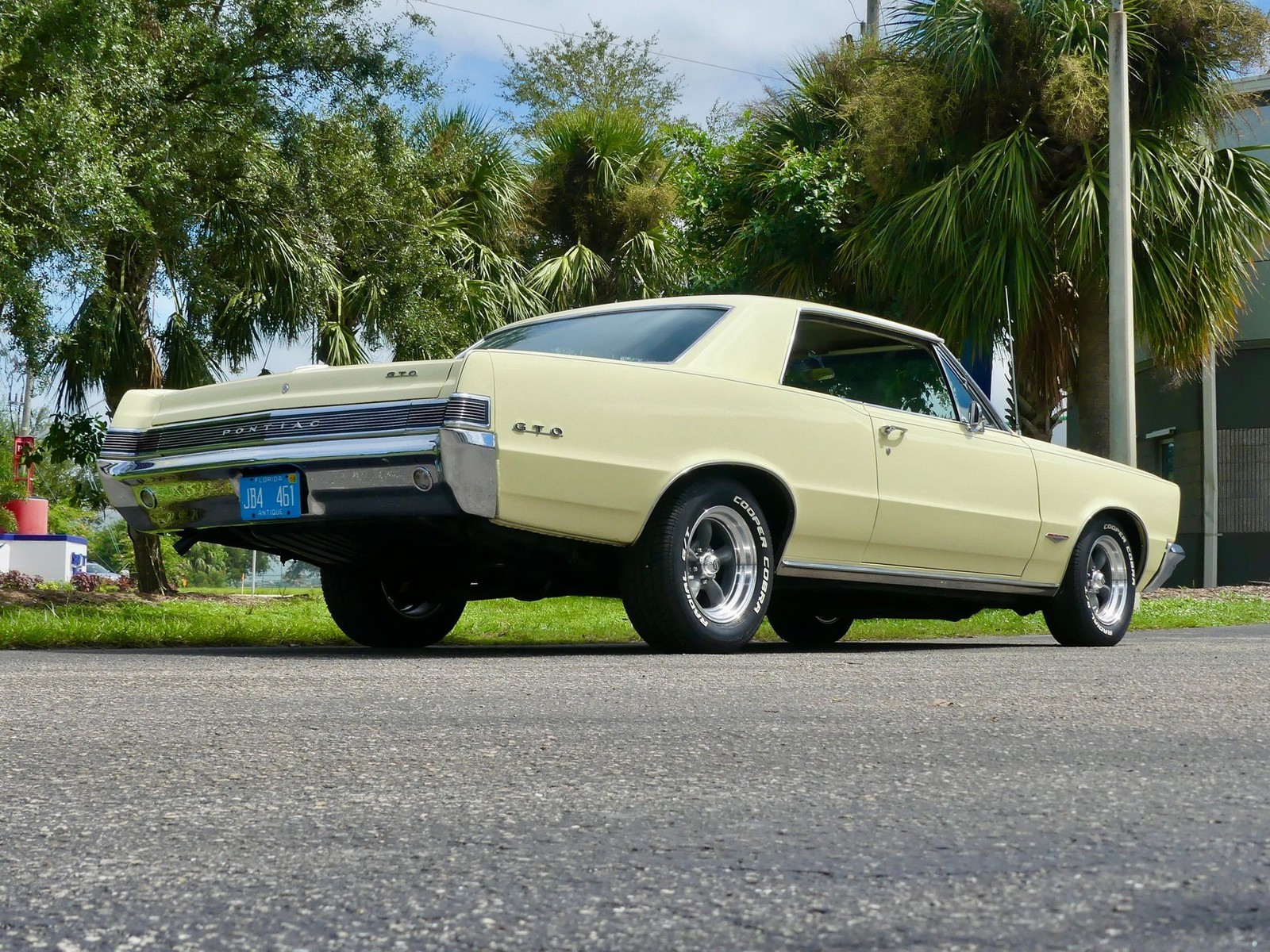 Pontiac-GTO-1965-Other-20
