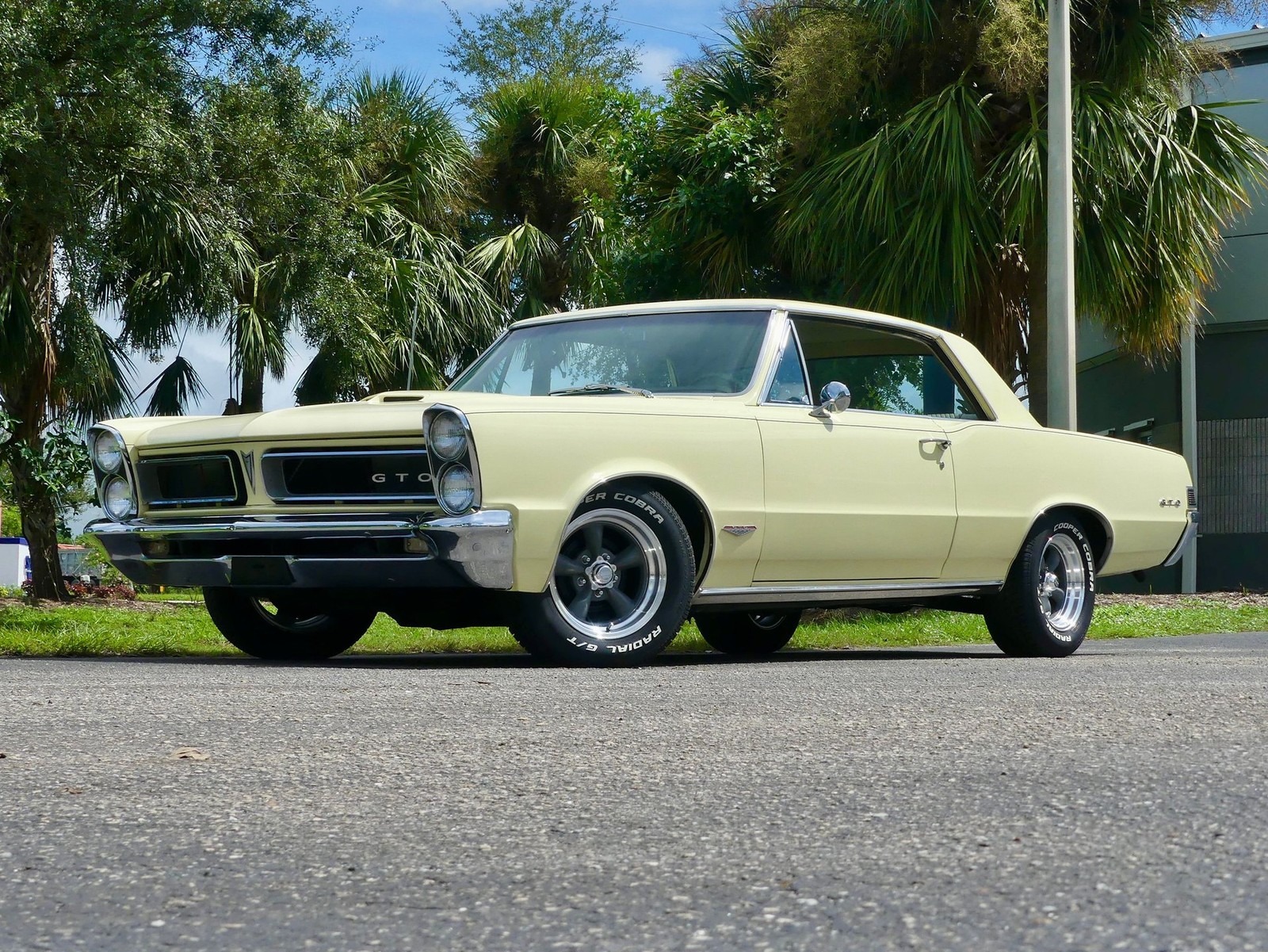 Pontiac-GTO-1965-Other-8