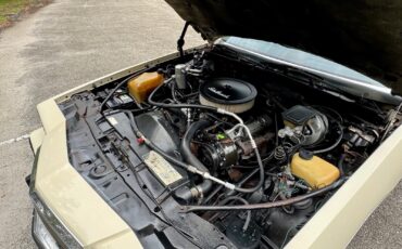 Pontiac-Grand-Prix-1983-Coupe-17