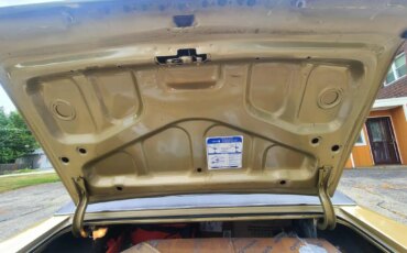 Pontiac-Grand-prix-coupe-1969-Gold-Gold-20